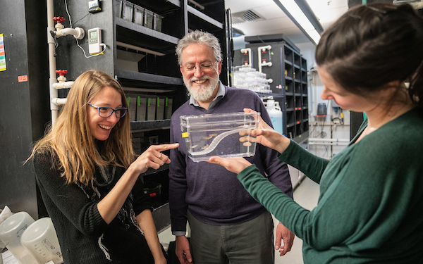 faculty member with two students looking at an aquarium